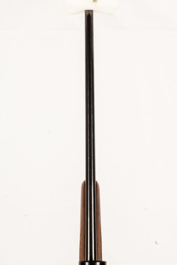 KIMBER 84 223REM - Image 8