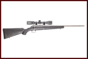 RUGER ARMERICAN STAINLESS 243WIN