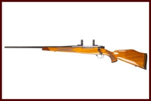 WEATHERBY MARK V DELUXE 300WBY