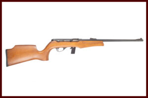 ARMSCOR MODEL 20 22LR