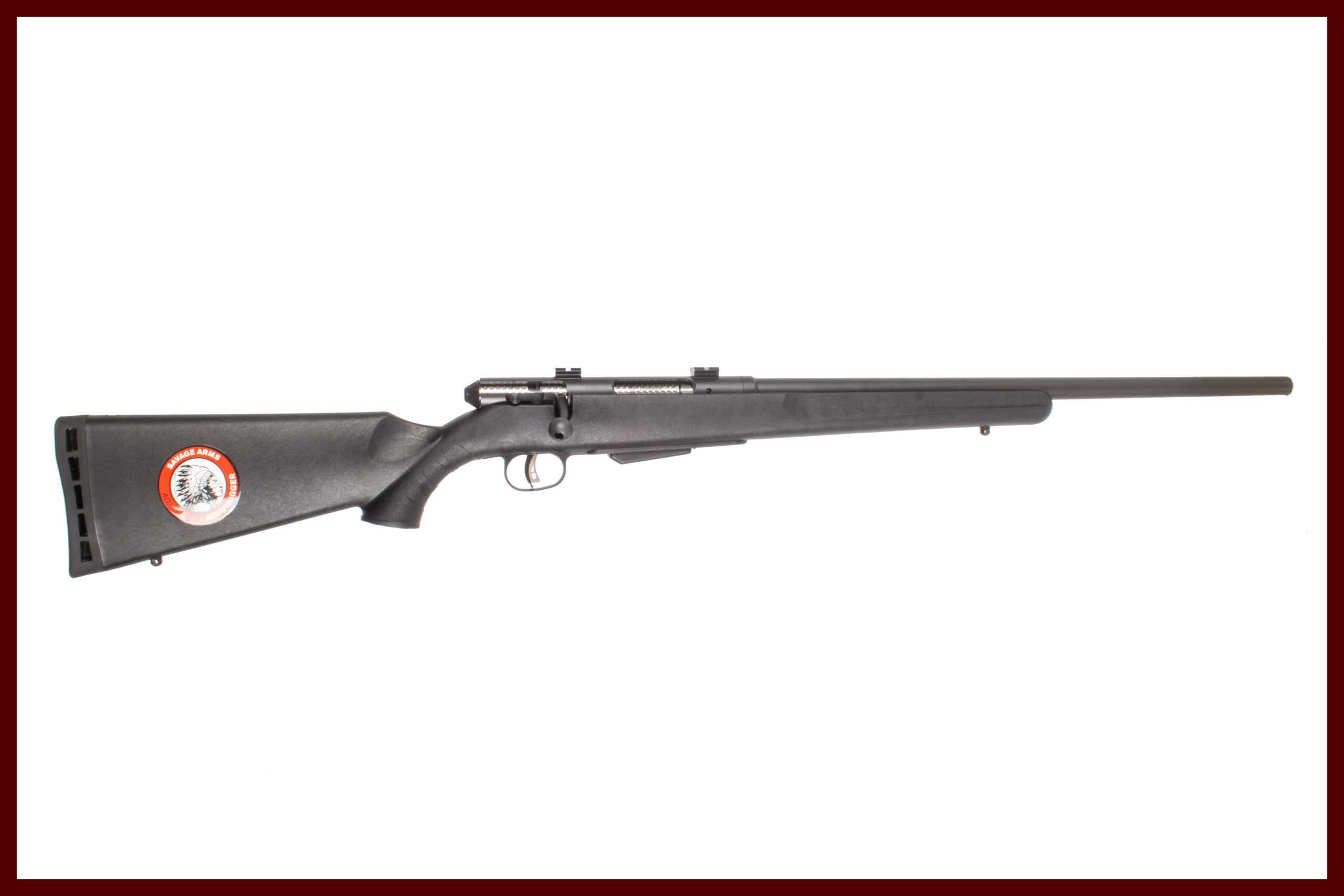 SAVAGE MODEL 25 223 REM