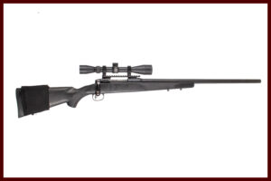 SAVAGE MODEL 10 308 WIN
