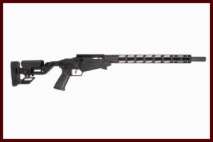 RUGER PRECISION RIFLE .17HMR