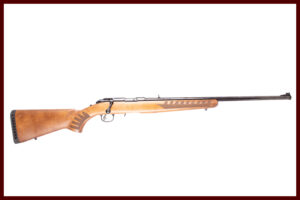 RUGER AMERICAN RIMFIRE 22LR